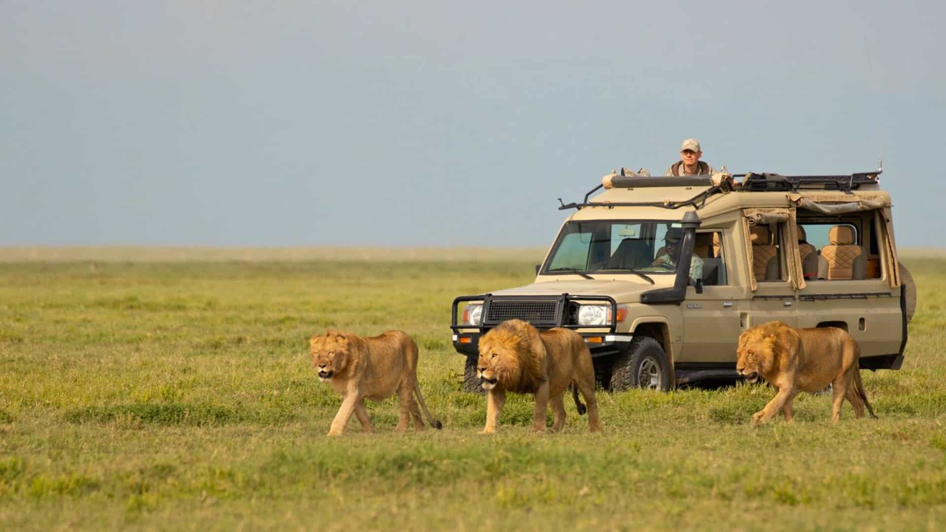 3-day-tanzania-budget-safari